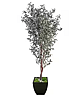 Faux Mediterranean Olive Tree 
