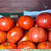 Plum Tomatoes