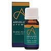 Absolute Aromas Organic Ylang Ylang Essential Oil