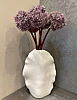 Large Allium Bundle