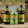 Sierra Nevada Pale Ale - 12 Pack