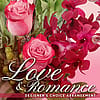Love & Romance - Designer's Choice