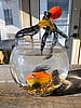 No Fishing! Hand sculpted borosilicate glass orange yellow and black Forever Fish with "Octopus"