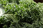 Kale (1 bunch/8-12 leaves)