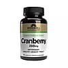 Windmill Cranberry 250mg Capsules - 60 count