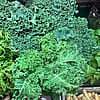 Kale