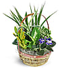 Basket of Love