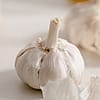 Garlic Bulb