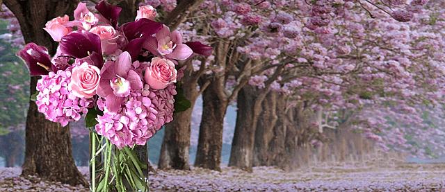 Georgewood Florist