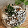 Let It Snow Terrarium Kit