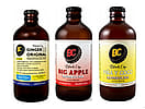 Tastebud Mix 12-Pack: Big Apple, Ginger Original 15 & Piña Y Coco