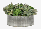Mixed Succulent Garden in Galvanized Planter