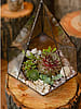Terrarium