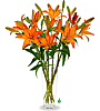 Lovely Lilies