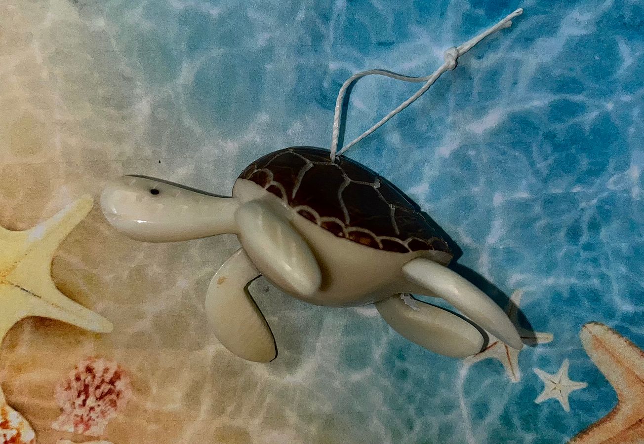 Sea Turtle Natural Tagua Carvings, Sea Turtle Decor, Sea Turtle Miniature, Tagua Ornaments, Decoration, Christmas tree decor NEW