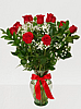  Dozen Red Rose's in a vase with baby breath