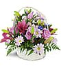 Basket Full of Dreams