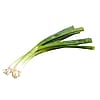 Scallion / Bunching Onion Bunch