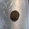 Milk Chocolate Sprinkled Oreo