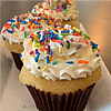 Vanilla Gluten Free Cupcake