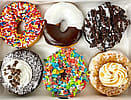 Half Dozen - Signature Donuts