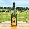 2009 Chardonnay