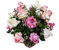 Pink + White Roses