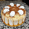 Tiramisu Cake