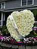 All White Rose Heart 