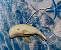 Whale Tagua Carvings, Decor, Whale Miniature, Tagua Ornaments, Decoration, Christmas tree decor NEW
