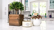 Cinnamon & Vanilla Candle | 9 oz Soy Candle