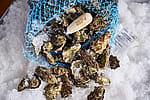 SML Miyagi Oysters