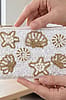 Starfish Clams & Sea Life Beaded Coin Purse