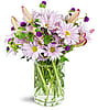 Lively Lavender