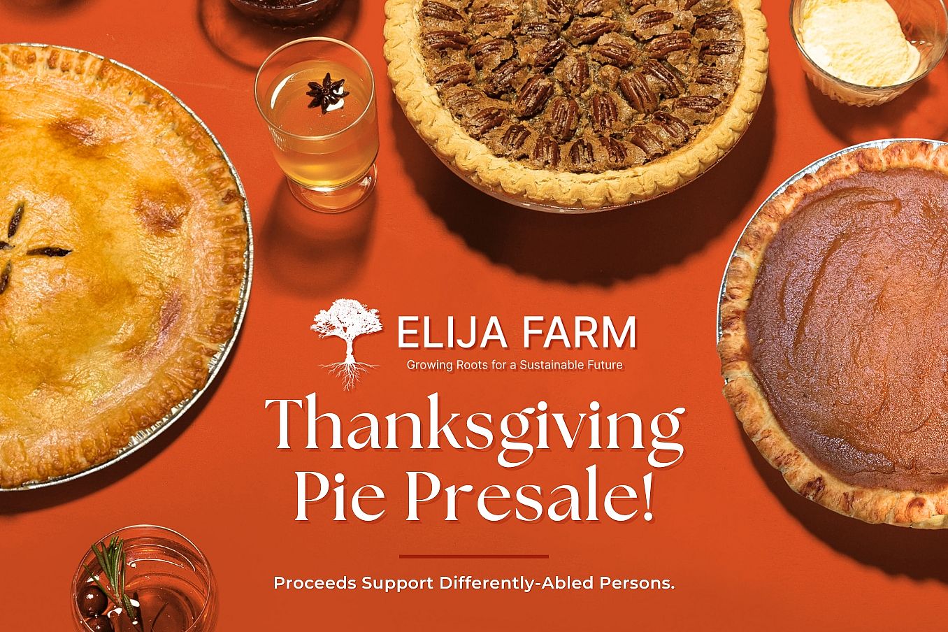 ELIJA Farm Thanksgiving Pie Sale