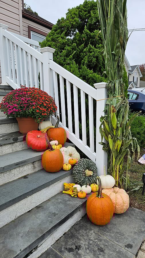 Porch upgrade