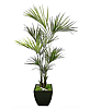 Faux Kentia Palm Tree