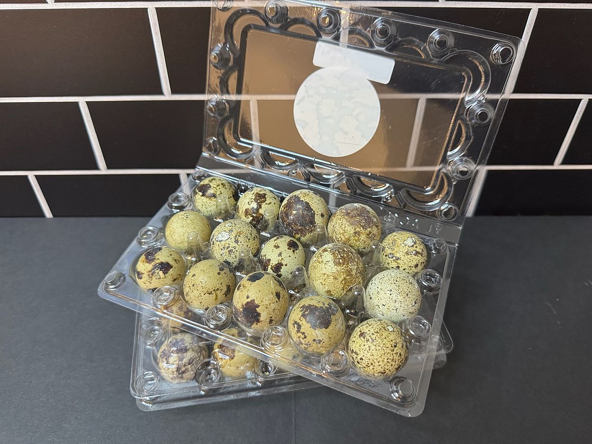 Quail Eggs Carton - 15 Count 