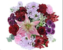 Easter Mixed Flower Bouquet ~ Pastels