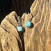 Larimar & Sterling Silver Drop Earrings