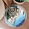 Beach Terrarium Kit