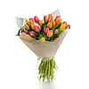 Loving Tulips