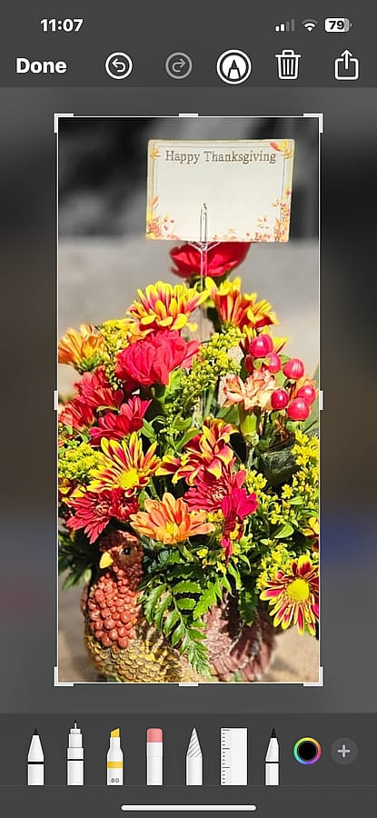 Thanksgiving turkey arrangement