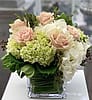 Blush Garden Luxe Cube