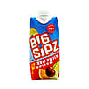 Big Sipz Fruit Punch 11.2oz