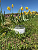 Tulip Fields Candle | 9 oz Soy Candle