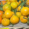Sweet Mandarins