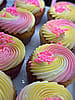 Vanilla Cupcake