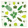 Printed Image Trees of North America Bandanna