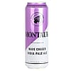 Montauk Wave Chaser IPA
